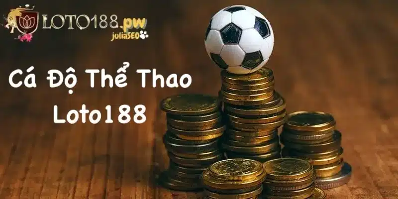 Giới thiệu thông tin cơ bản về hệ thống sảnh cá độ thể thao